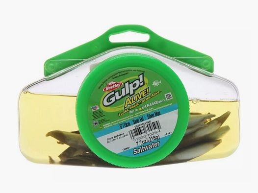 Gulp Alive – Sand eel 13cm – Silver mudd