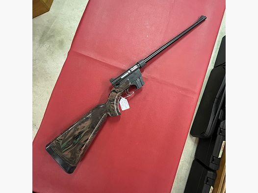 ArmaLite AR-7 Explorer