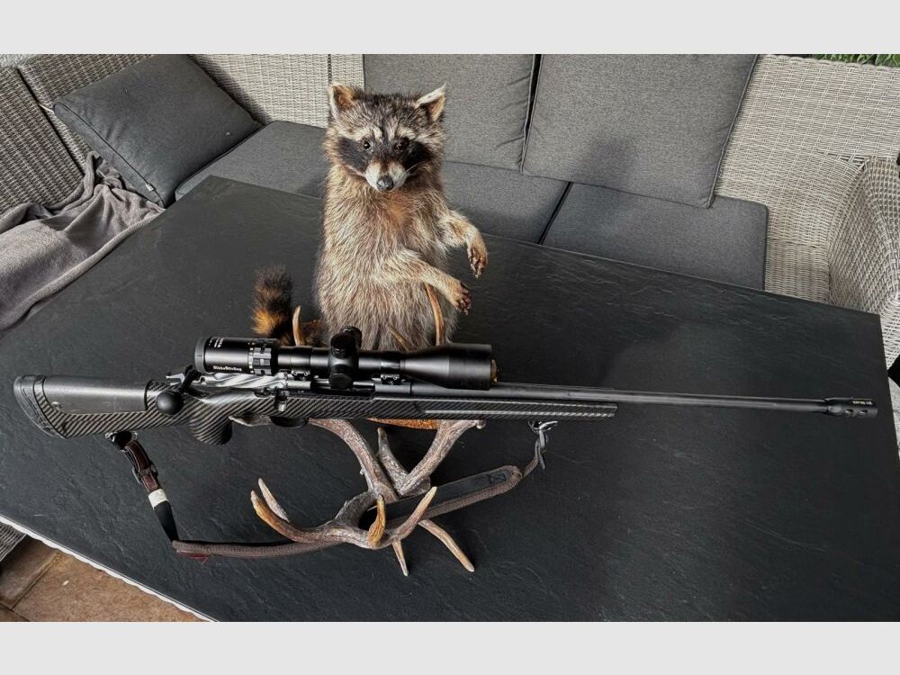 Sabatti Mercury Rover Carbonschaft