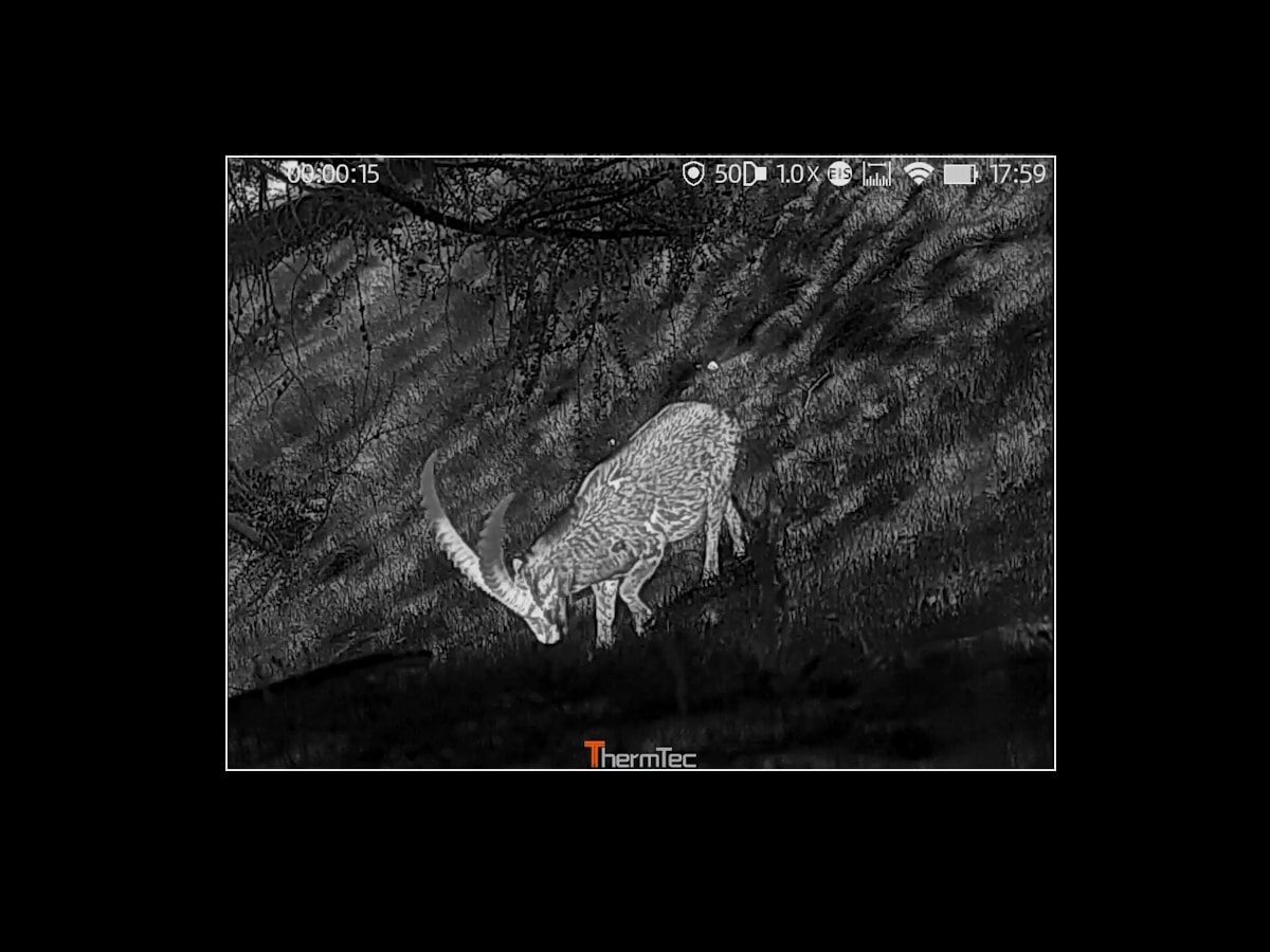 Wild 650D – Monoculaire thermique, image 4 sur 17