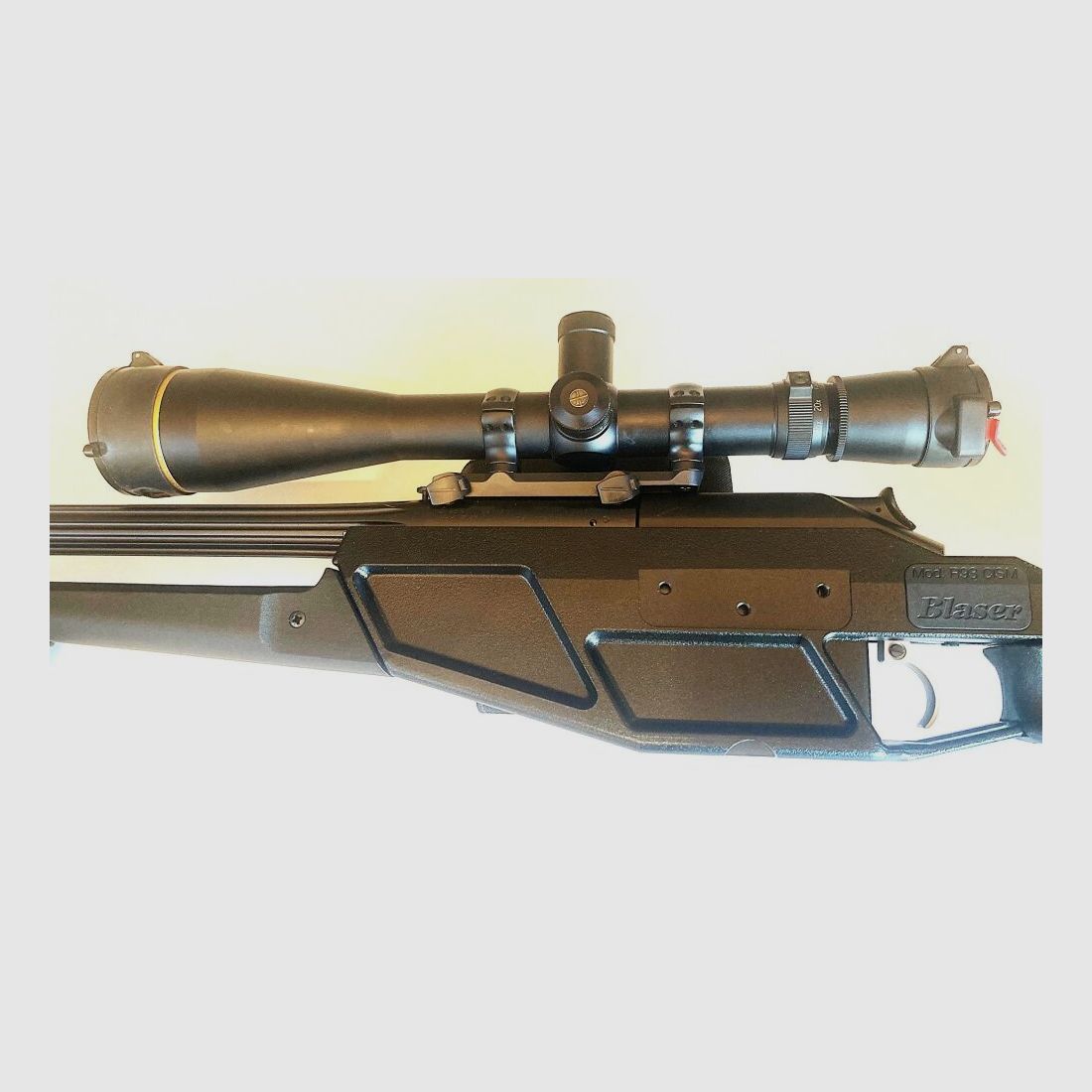 Blaser R93 Tactical (CISM)