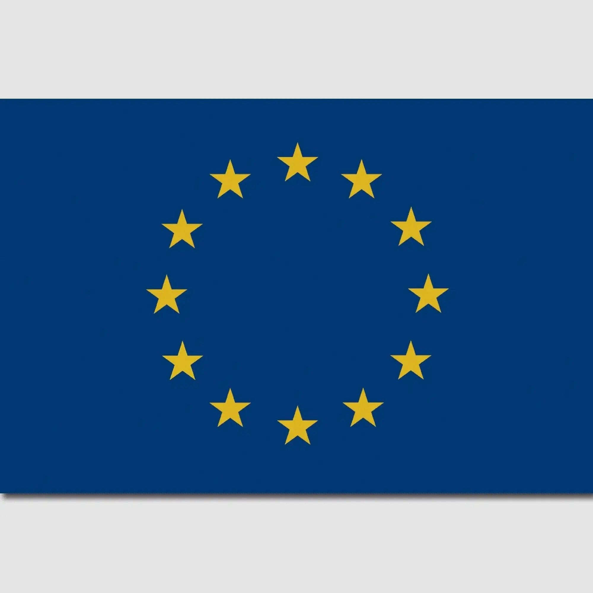 Diverse MFH Vlag Europa