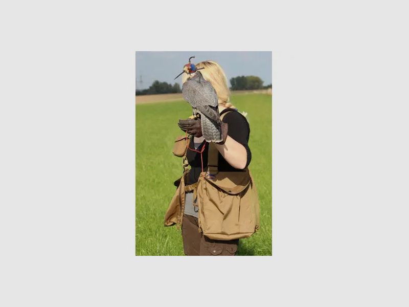 Mikesfalconry Falknerweste beige, Gr. S