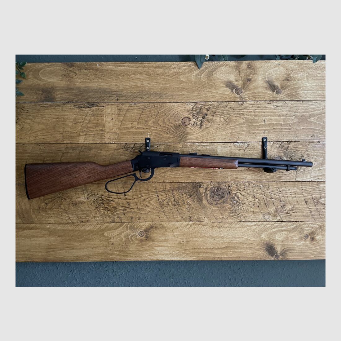 Savage Revel .22lr