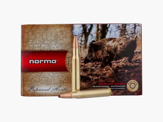 NORMA 30-06 Oryx 11,7 g 180grs