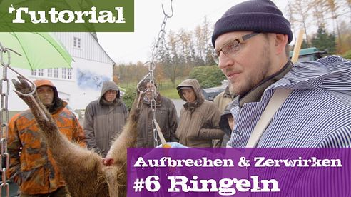 #6 Ringeln - Lehrgang Aufbrechen & Zerwirken