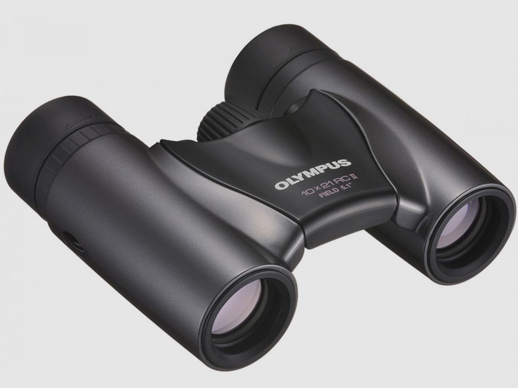Olympus Olympus Fernglas 10x21 RC II Dunkelsilber