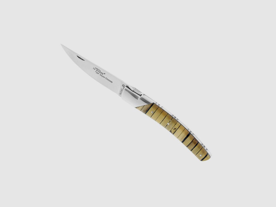 LE THIERS GOYON-CHAZEAU PIROU BUIS DEBOUT 12CM INOX, immagine 1 di 2