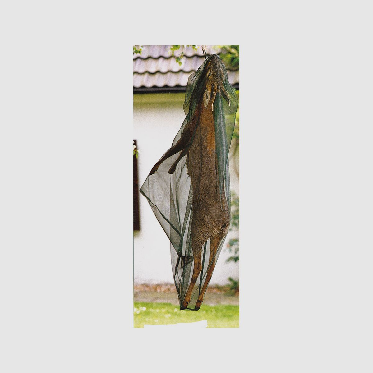 Filet de protection contre les insectes 200x70cm