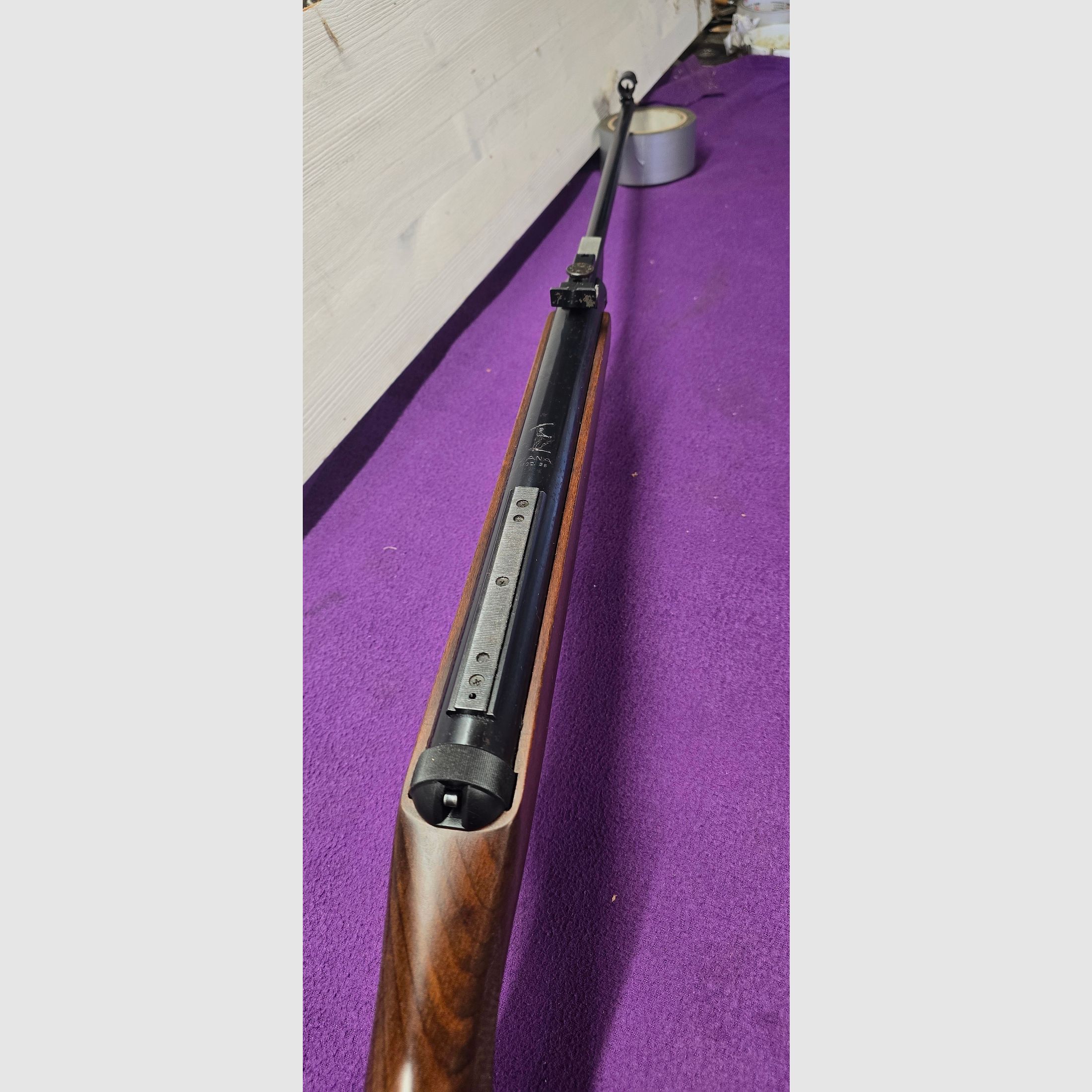 Diana 36