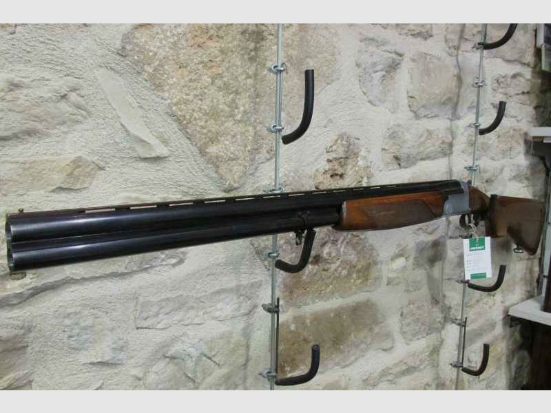 ROTTWEIL 65 (venduto), immagine 1 di 7