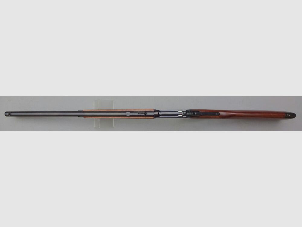 ROSSI PUMA Octagon 24" 8-sided run