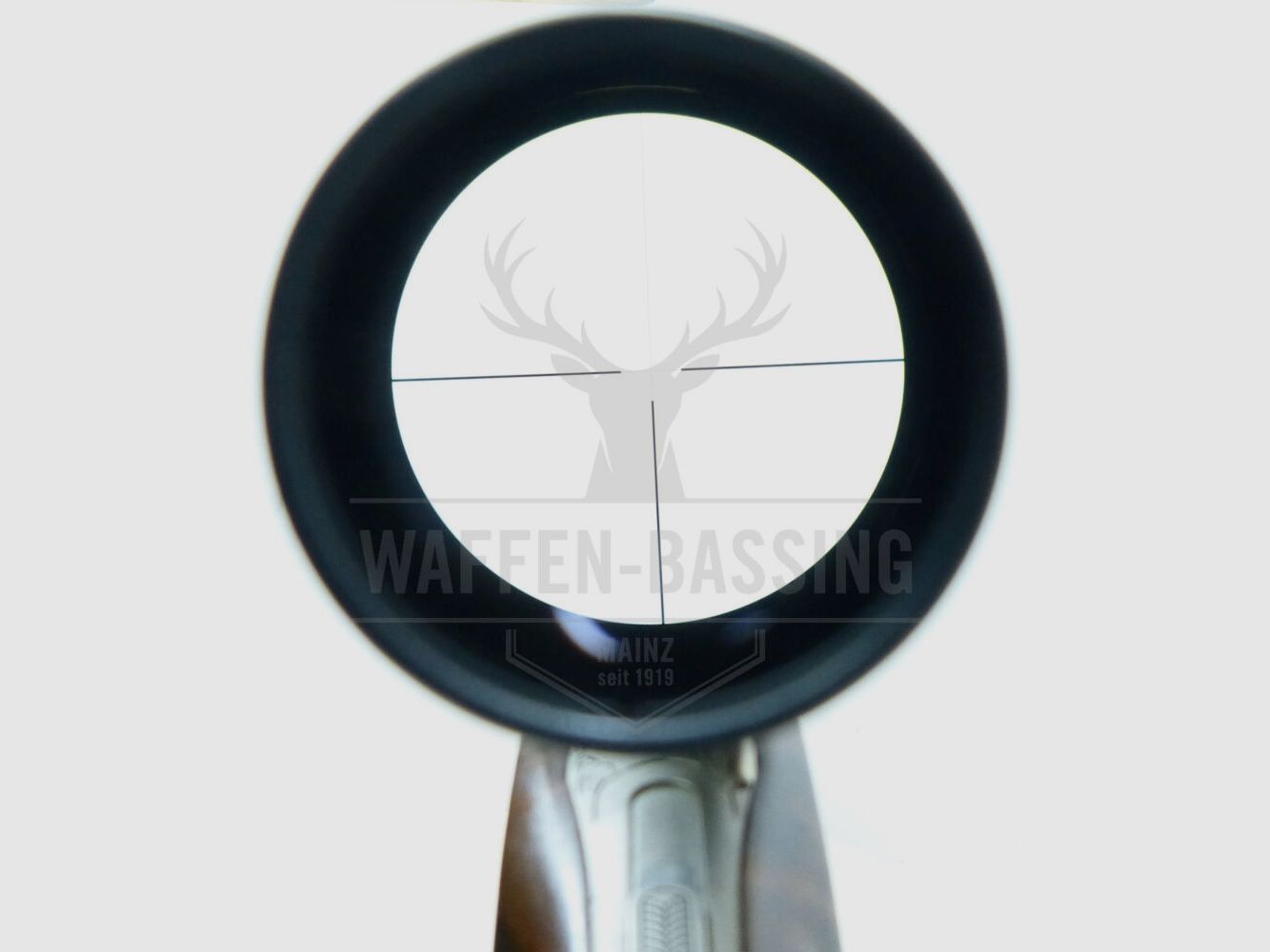 Blaser	 BS95