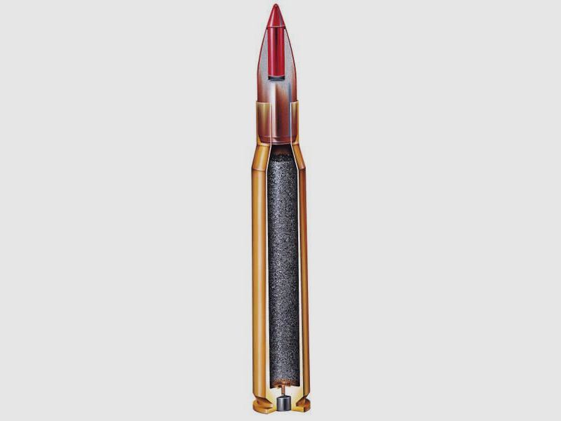 HORNADY KK-Munition .17HMR NTX Varmint Express 50 Stk  1,1g/15grs  bleifrei