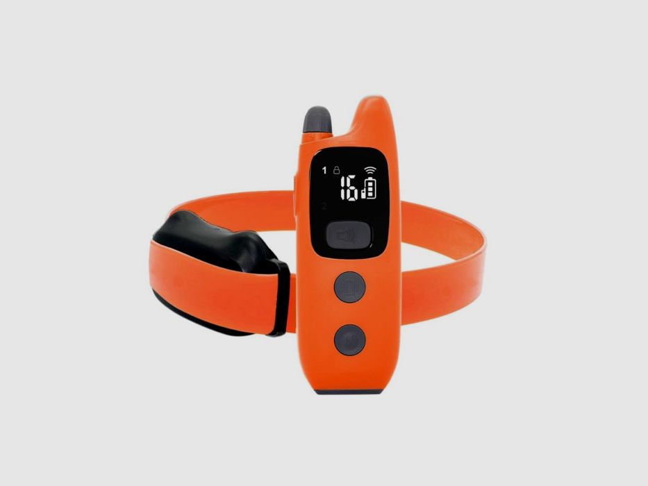 Verney Carron 600 m Trainingshalsband