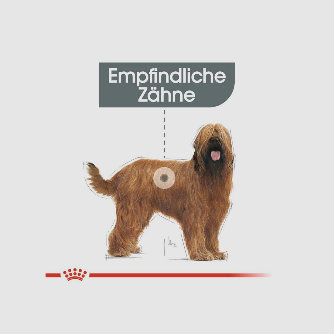 ROYAL CANIN Große Hunde Trockenfutter Dental Care Maxi für empfindliche Zähne 9 Kg