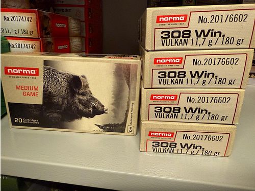 Norma Vulkan 308 11.7g 180gr