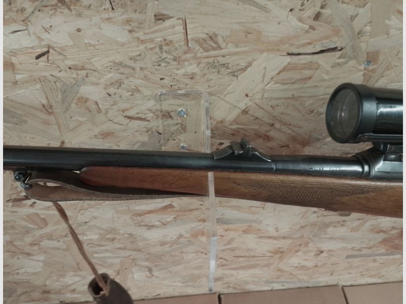Mauser 98 in 5,6x52R