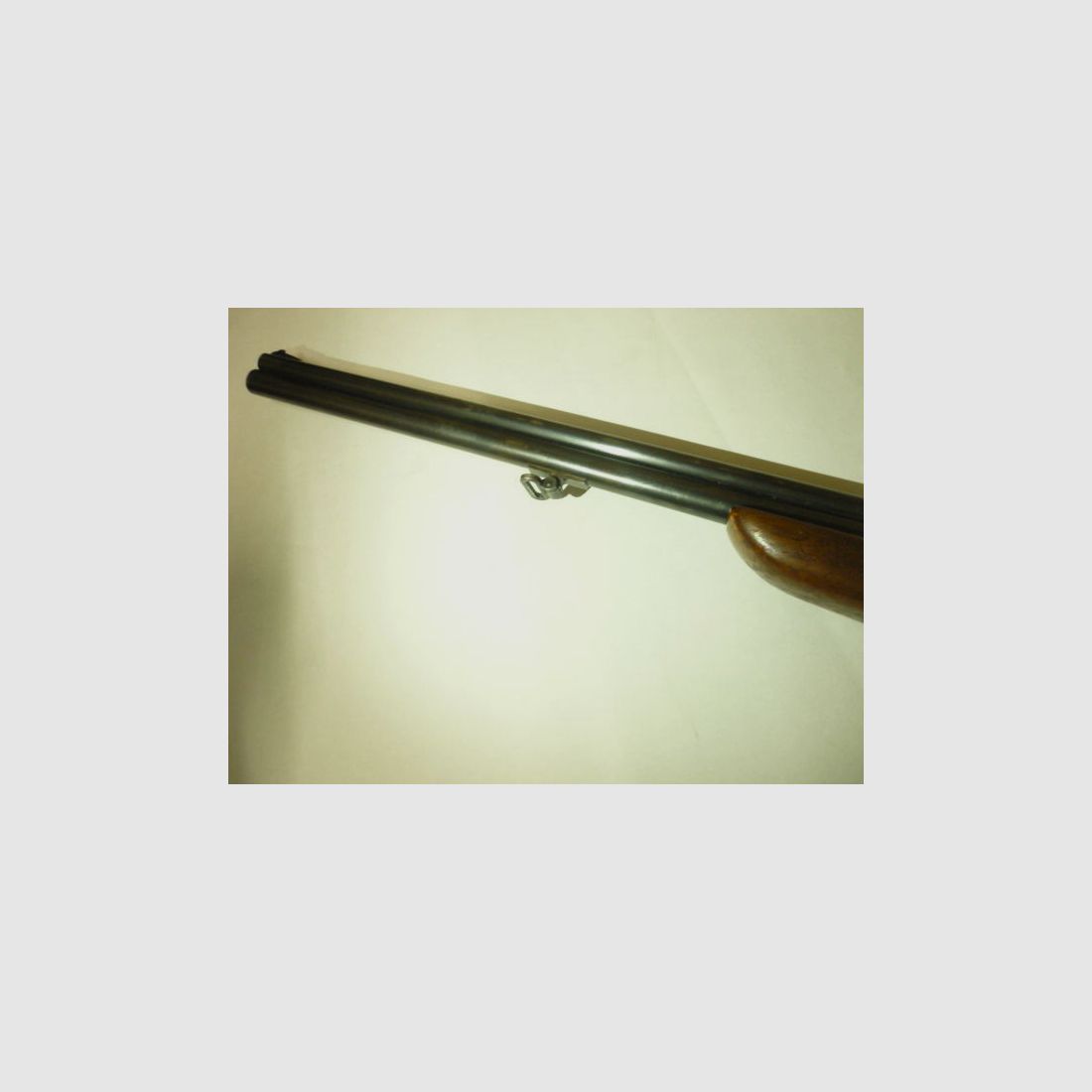 Savage Mod. 24 DL