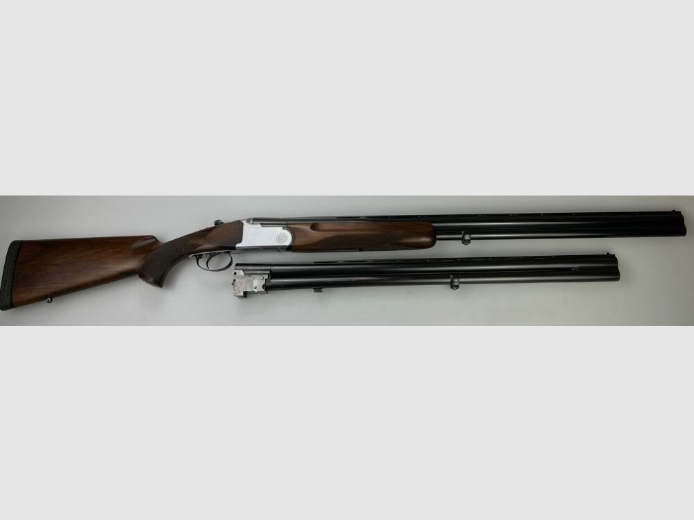 Trampa Rottweil Montreal