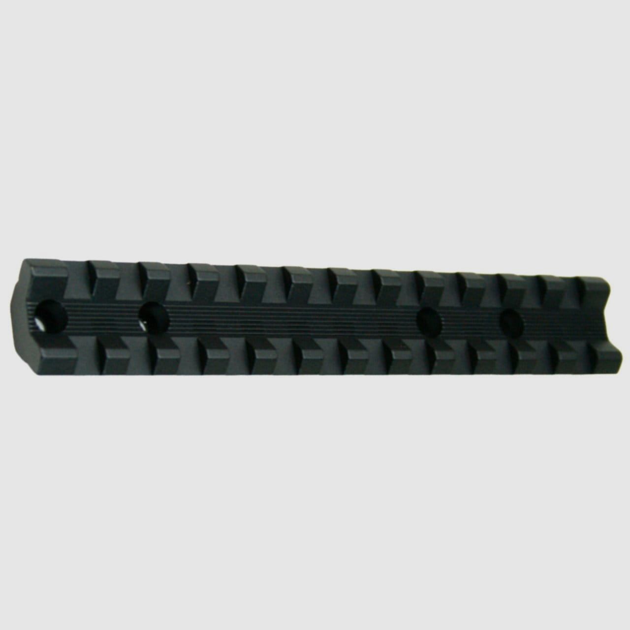 SAVAGE RAIL DE MONTAJE