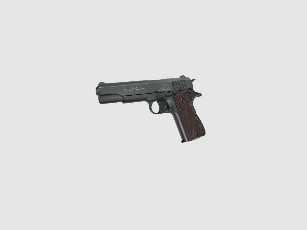 Dan Wesson Valor