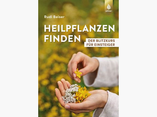 Heilpflanzen finden