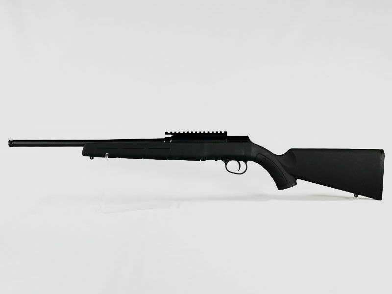 SAVAGE A22, semi-automatic
