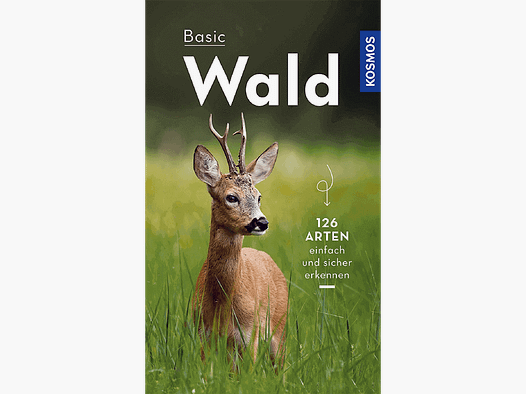Buch "Basic Wald"