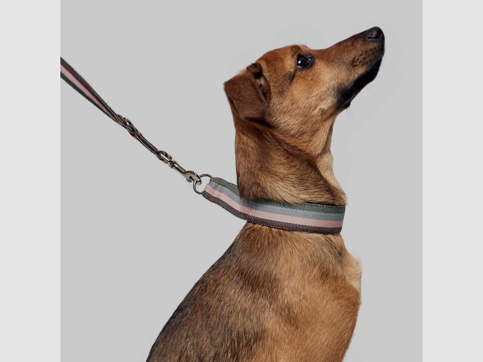 Collar Grace, imagen 5 de 5
