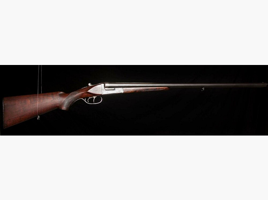 Faucon Fusil de chasse Fusil à deux canons Éducation des chiens