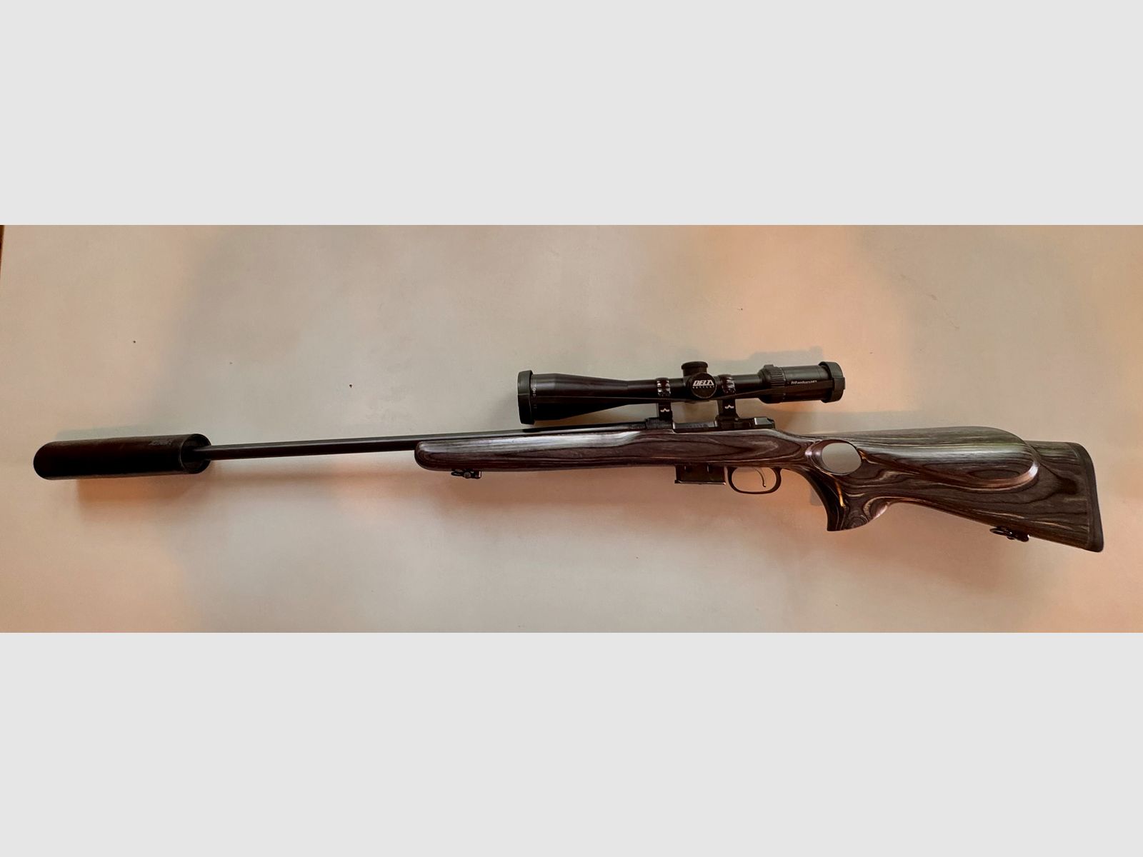 CZ 527 Thumbhole .17 HORNET mit Hausken SD & Delta Titanium HD – Raubwild-Profi