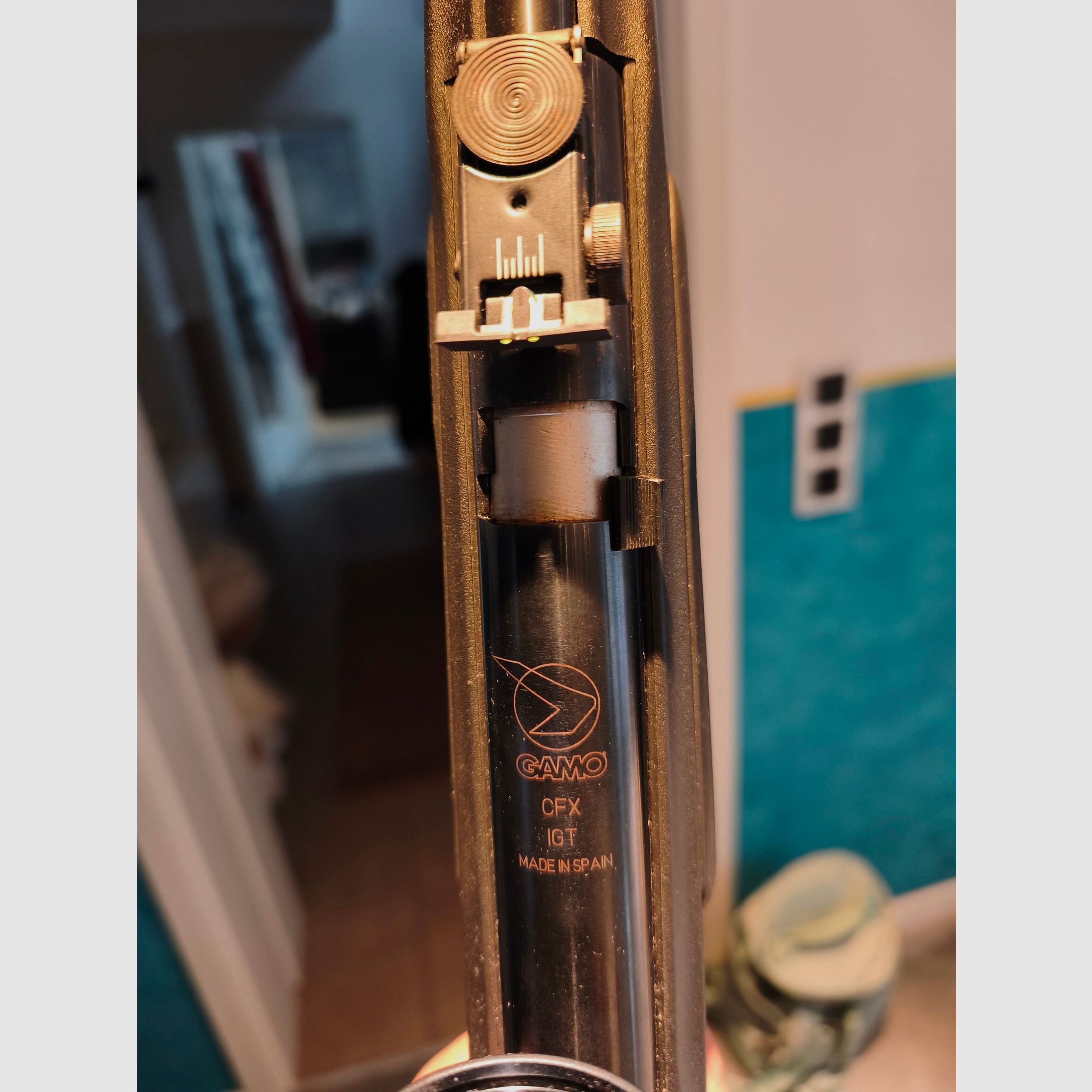 Carabina de aire comprimido calibre 5,5