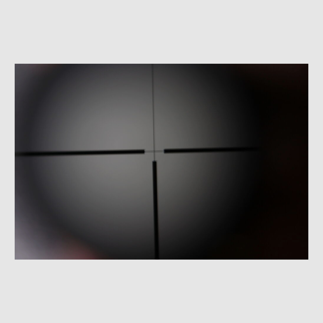 Zeiss	 Diavari - ZM 1,5-6x42 T*