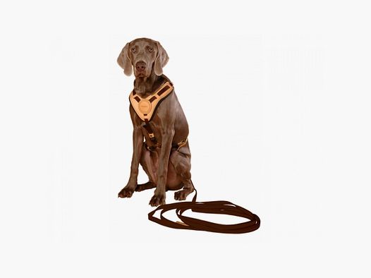 NIGGELOH HARNAIS DE MANTRAILING MARRON L/XL
