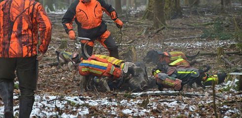 The Best Boar Protection Trousers