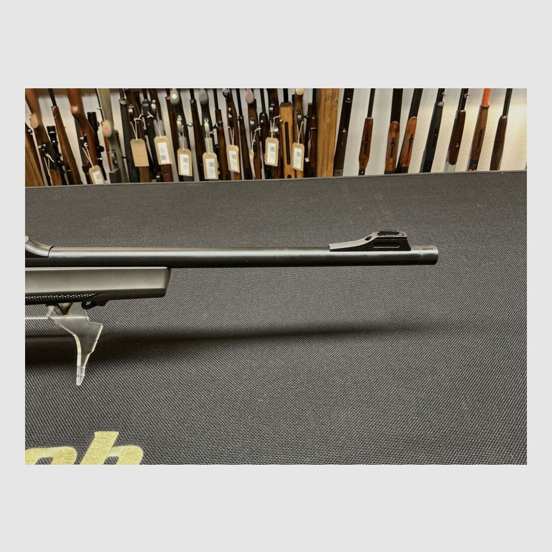 Sabatti Mercury Saphire 8x57JS