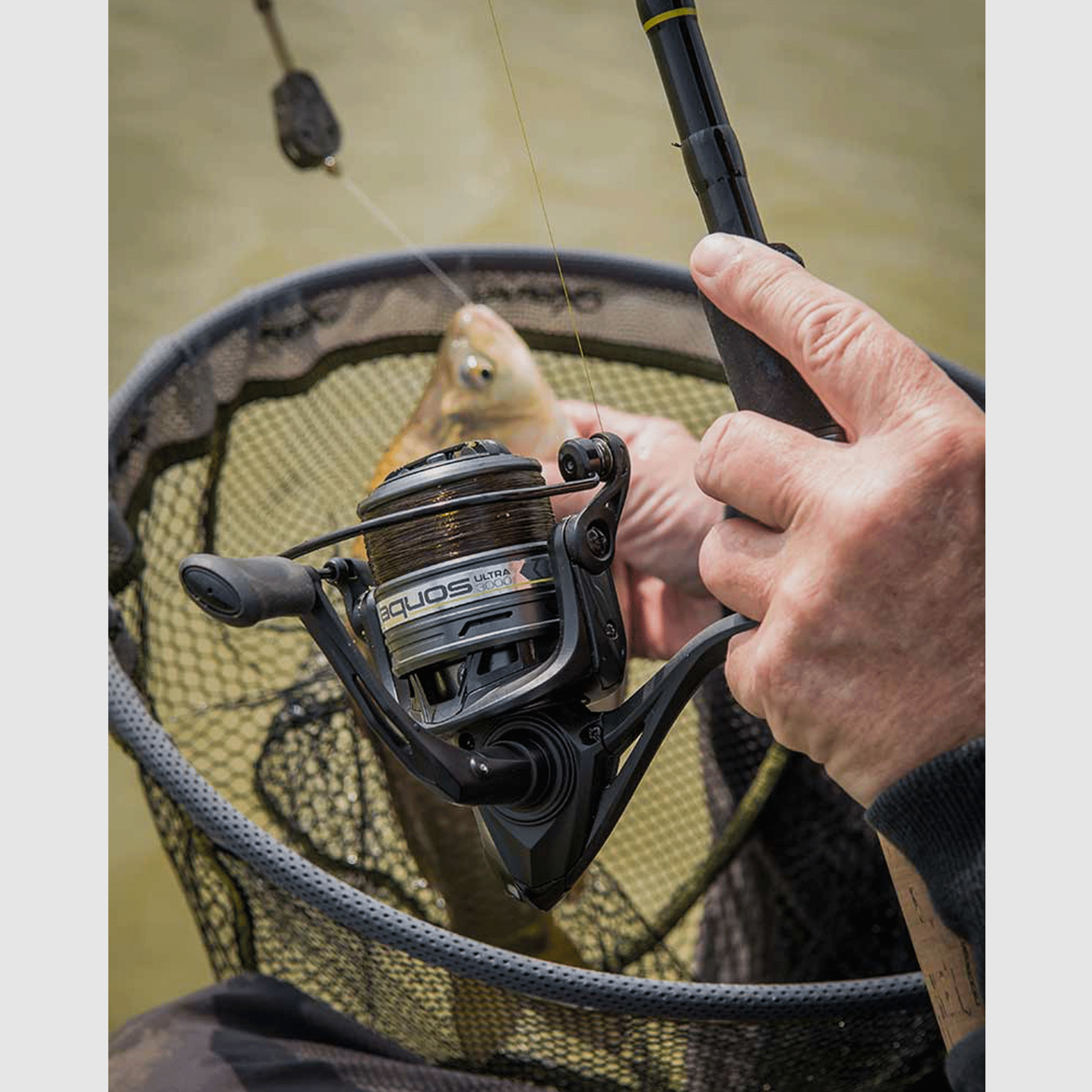 REEL – MATRIX – AQUOS ULTRA REEL, image 15 of 20