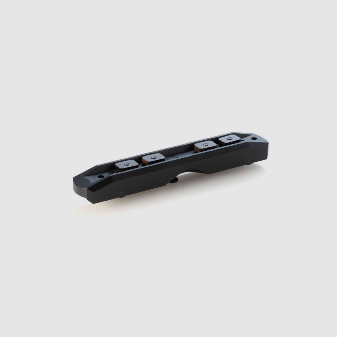 Dentler basic steel mounting rail