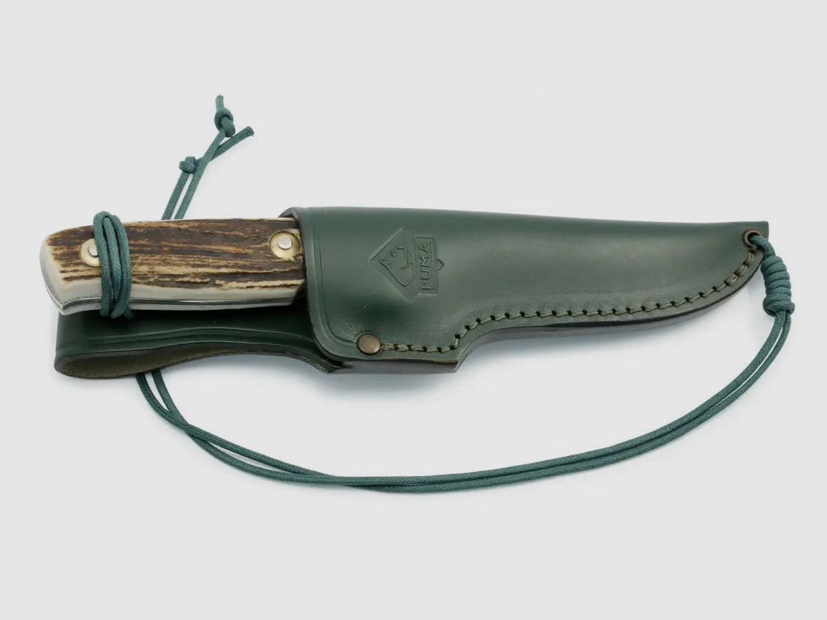 PUMA zeus, stag