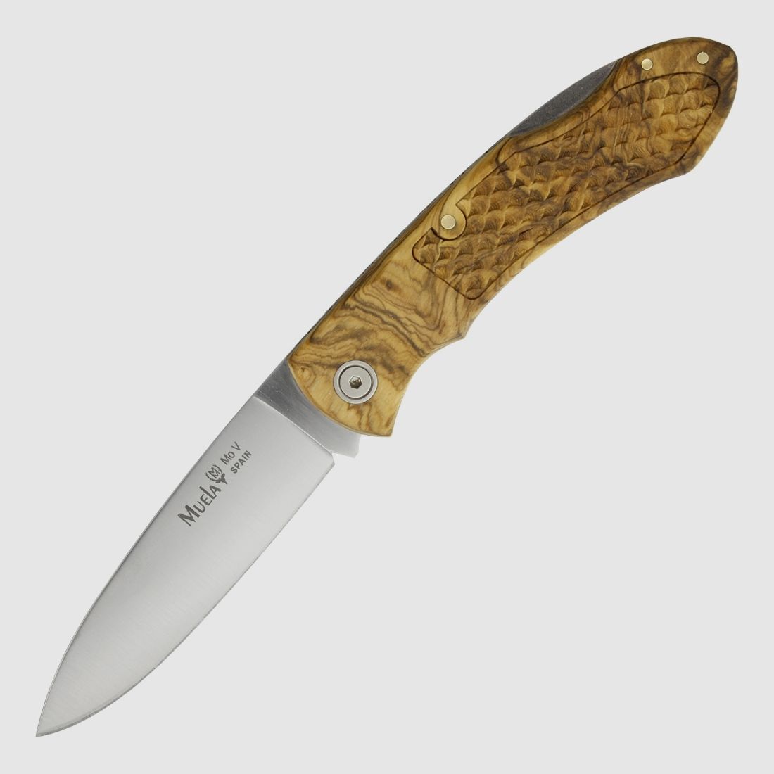 Muela Taschenmesser Castor mit Filework Olivenholz 42a konform legal fhren
