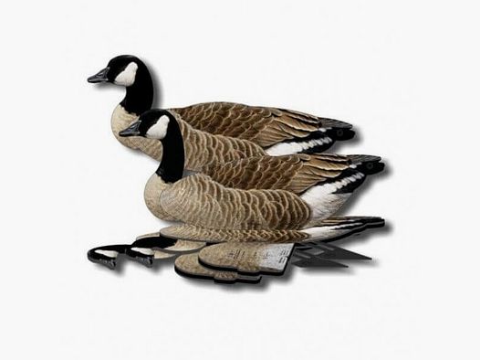 Lockvogel Kanadagans 6er-Set (FUD Decoy)