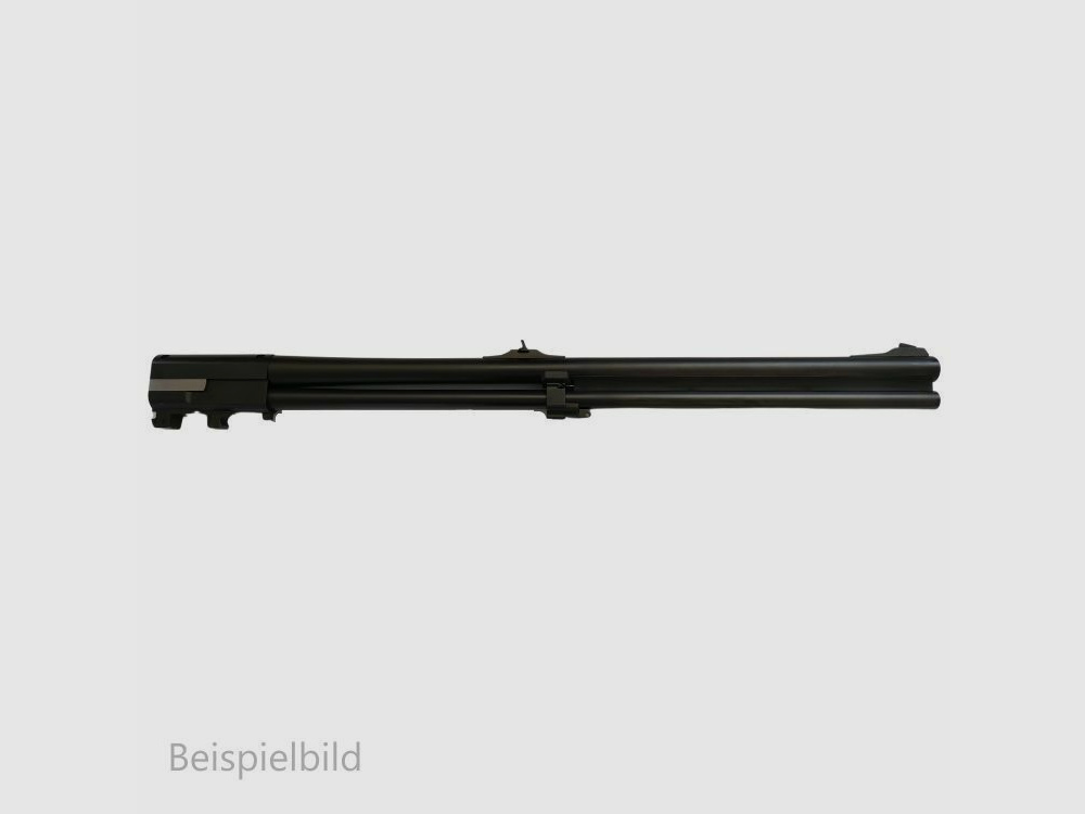 Blaser WL B95
