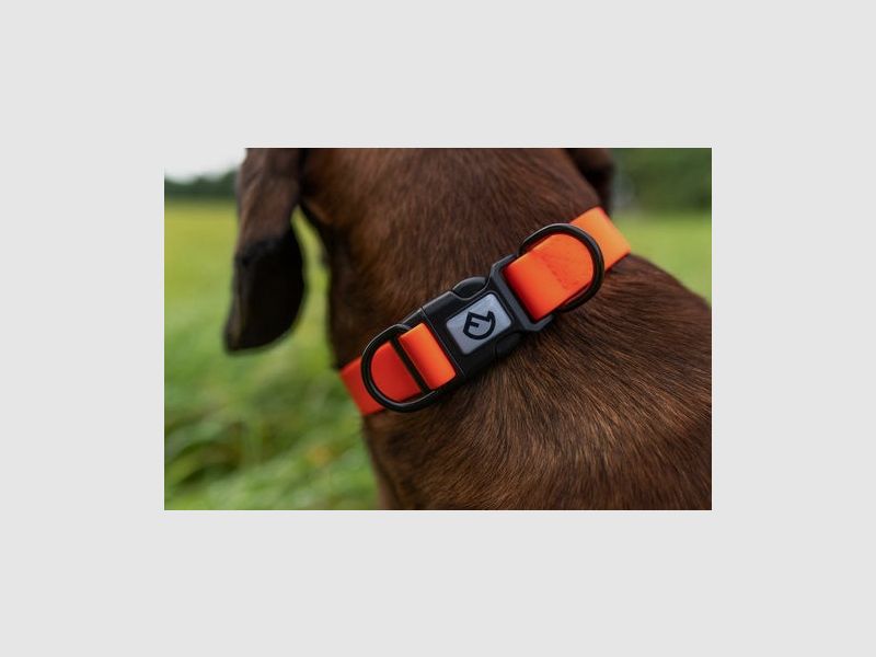 Farm-Land Halsband verstellbar