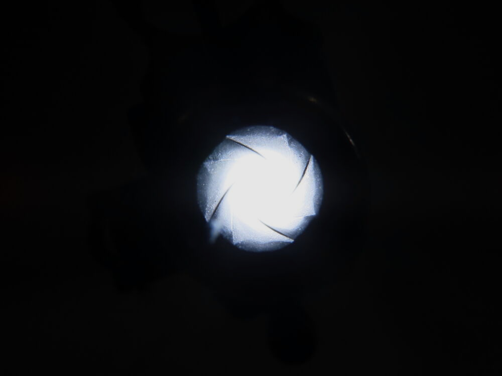 Mosin Nagant M44 mit Top Lauf!