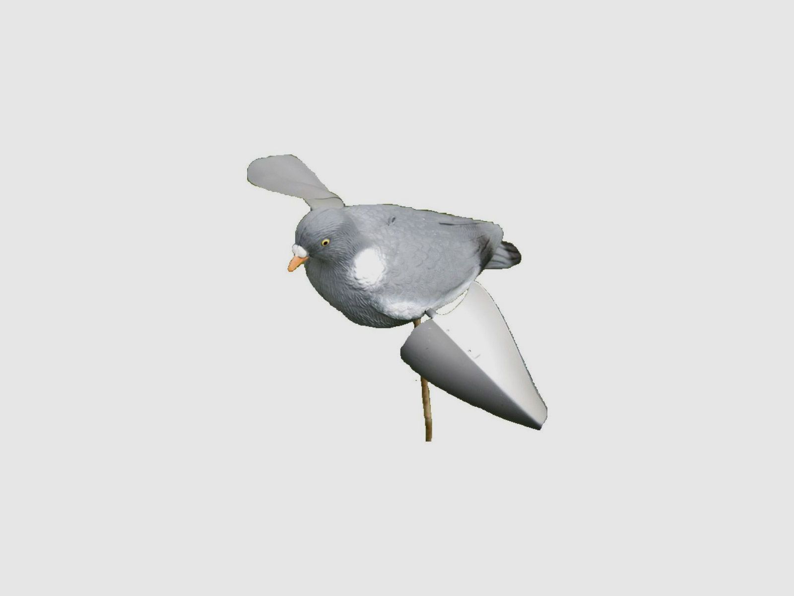 Spinwing floqué pour pigeon, image 2 sur 2