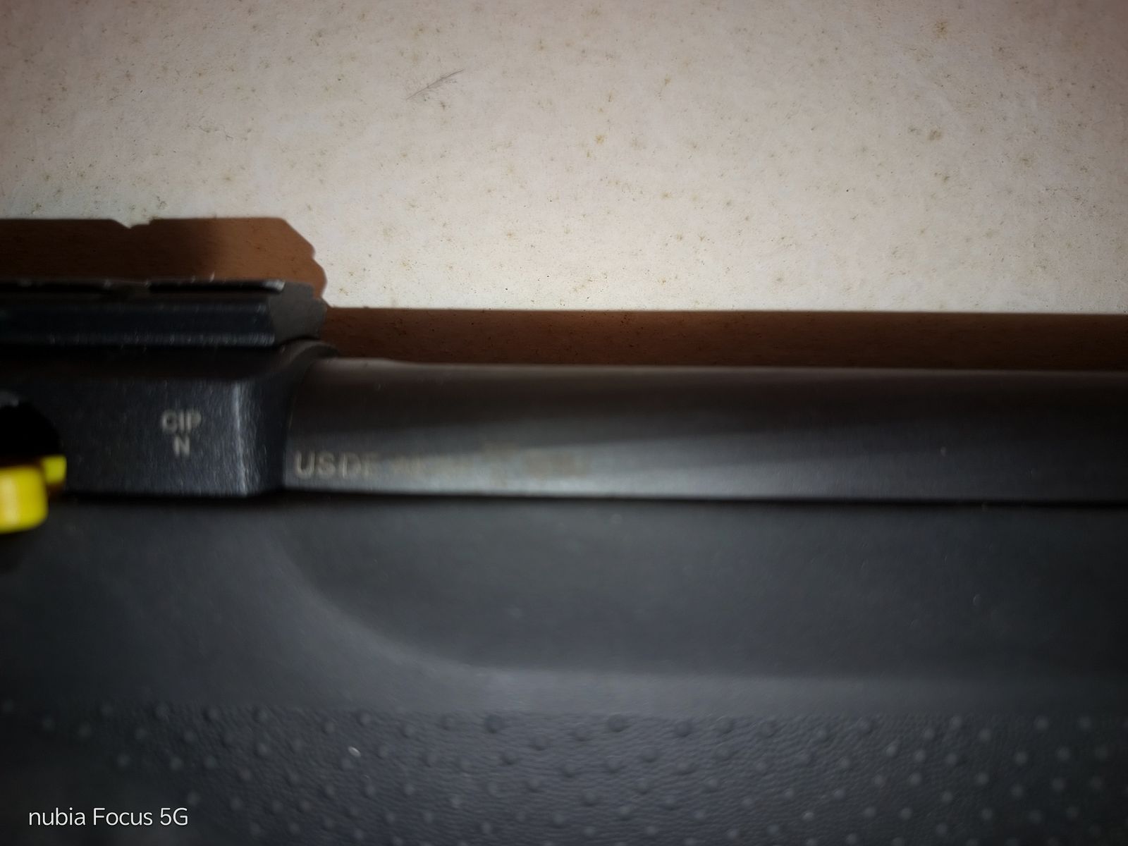 Ruger 10/22 