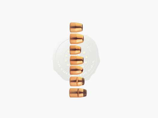 Sierra Geschosse Kal. 45(8830) 300Grs Soft Point