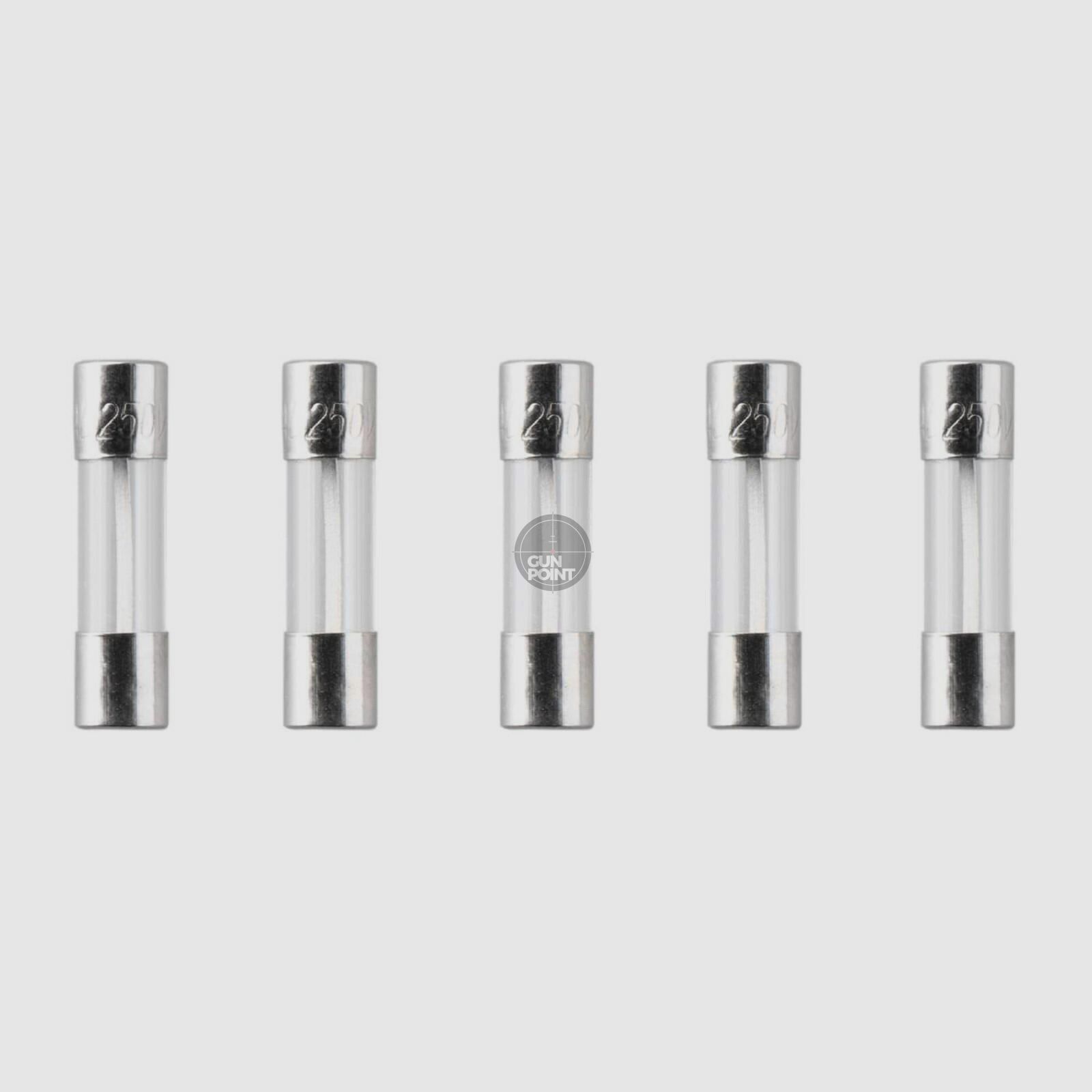 Nimrod Glass Type Fuse 5x20mm 30A 5pcs