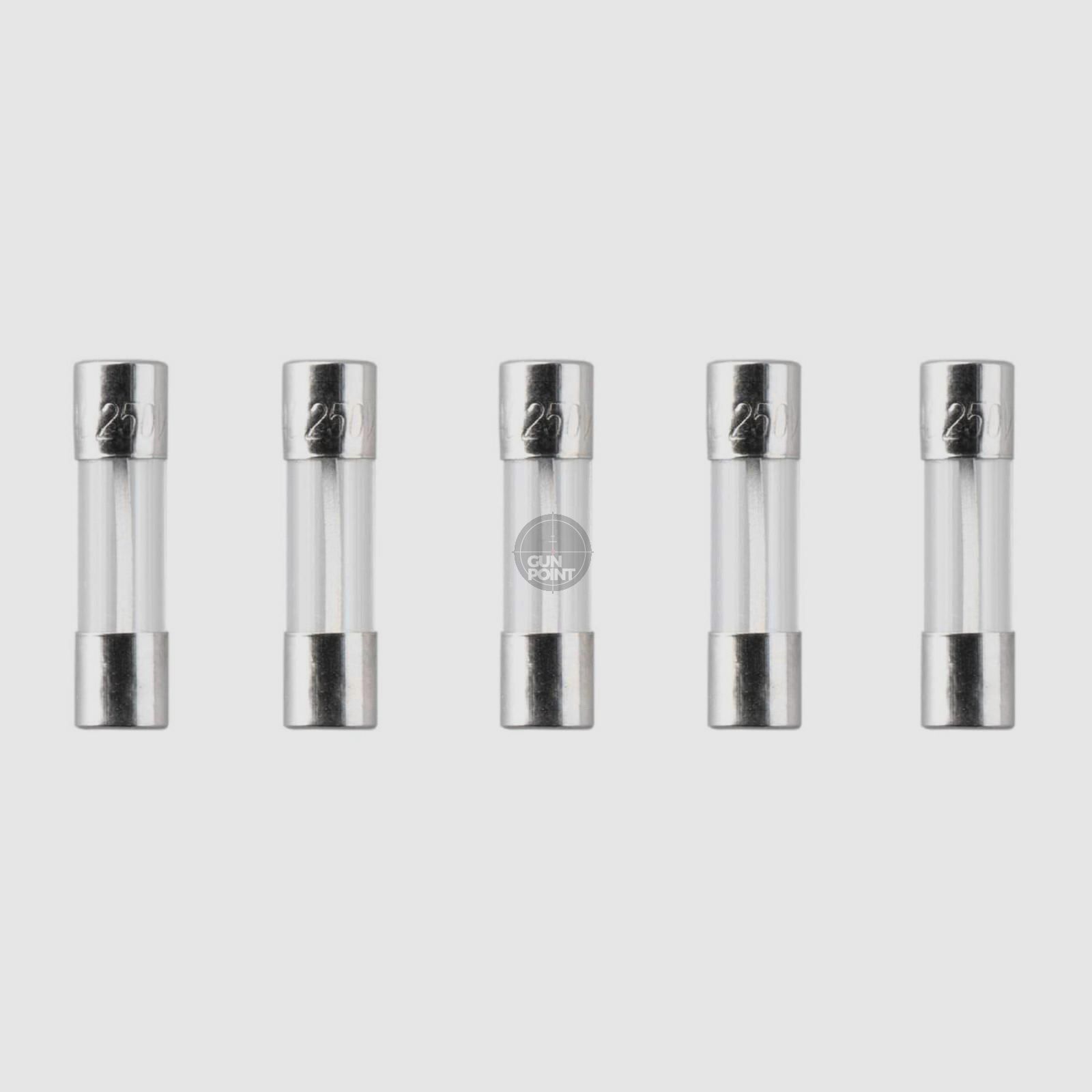 Nimrod Glass Type Fuse 5x20mm 30A 5pcs
